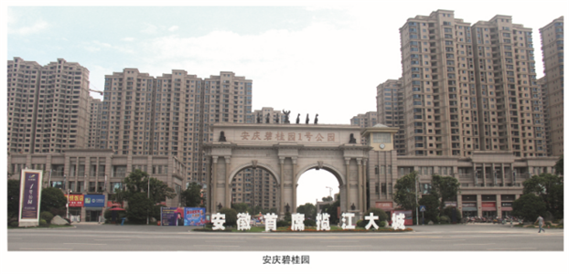 安慶碧桂園防盜門